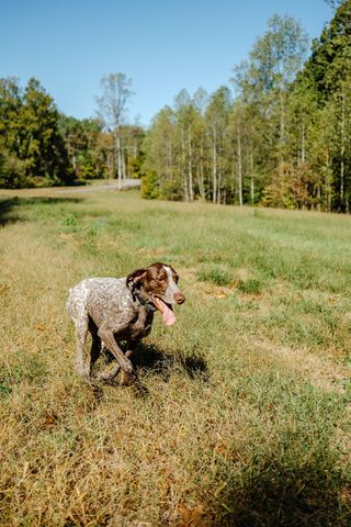 0 Pinewood Road, Franklin, TN 37064