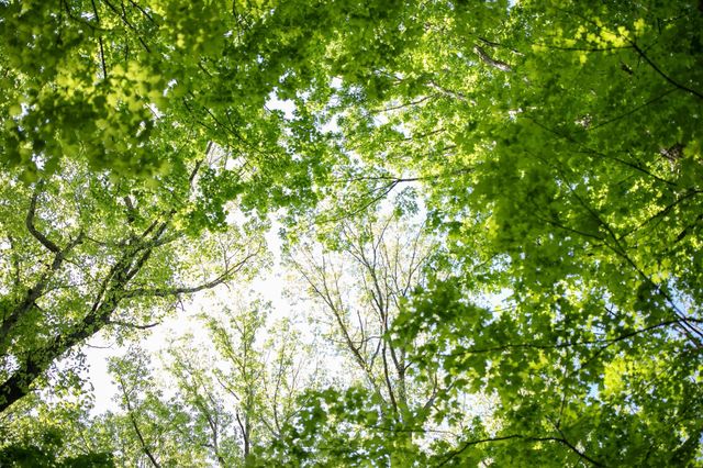 0 Pinewood Road, Franklin, TN 37064