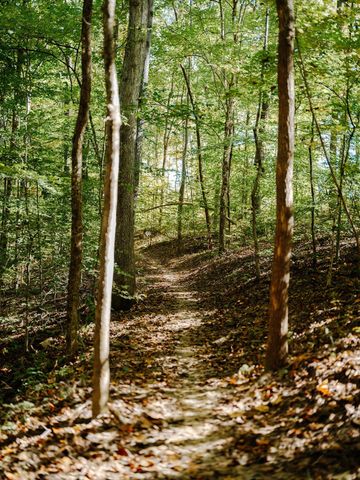 0 Pinewood Road, Franklin, TN 37064