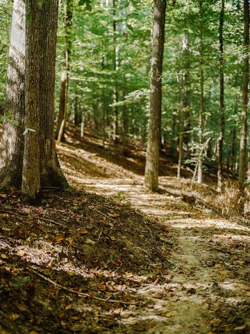 0 Pinewood Road, Franklin, TN 37064