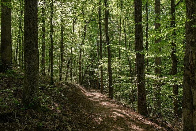 0 Pinewood Road, Franklin, TN 37064