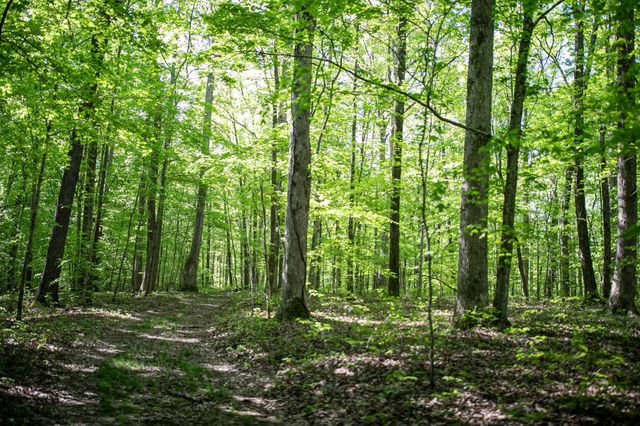 0 Pinewood Road, Franklin, TN 37064