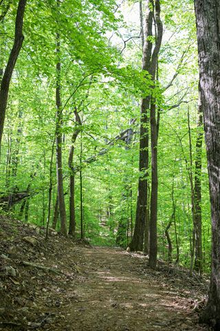 0 Pinewood Road, Franklin, TN 37064