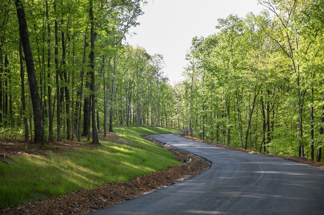 0 Pinewood Road, Franklin, TN 37064