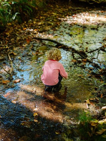 0 Pinewood Road, Franklin, TN 37064