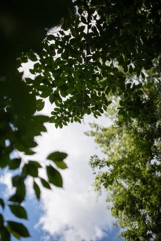 0 Pinewood Road, Franklin, TN 37064