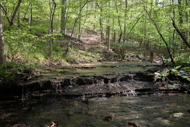 0 Pinewood Road, Franklin, TN 37064