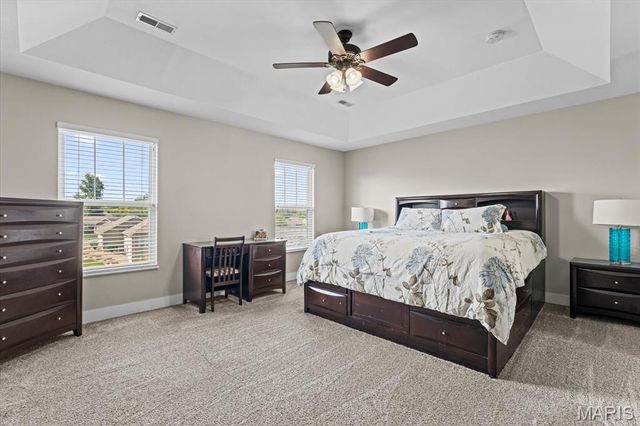 1335 Arbor Green Trail, O'fallon, IL 62269