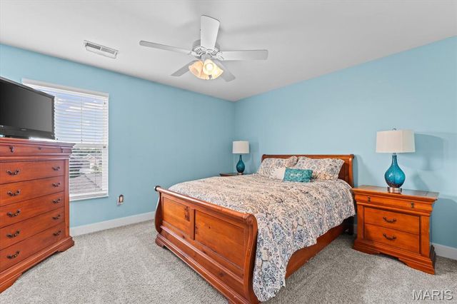 1335 Arbor Green Trail, O'fallon, IL 62269