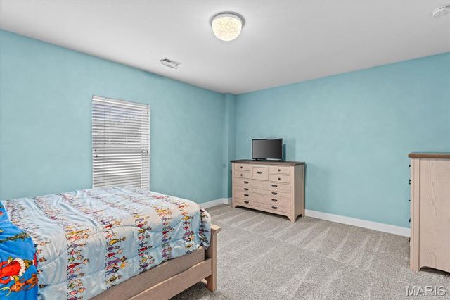 1335 Arbor Green Trail, O'fallon, IL 62269