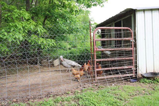 6430 E Private Rd 800 N, North Vernon, IN 47265