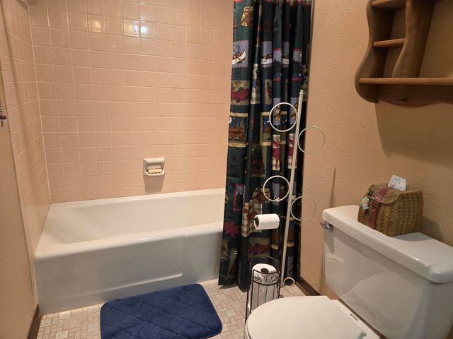 15 Pinal, Cherokee Village, AR 72529