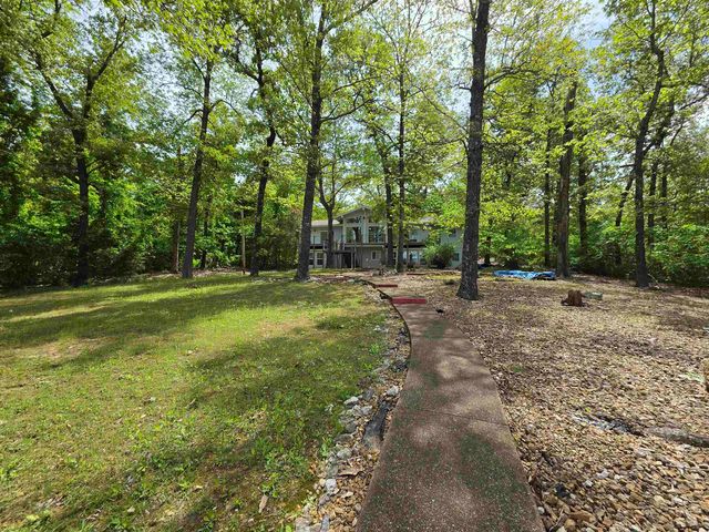 15 Pinal, Cherokee Village, AR 72529