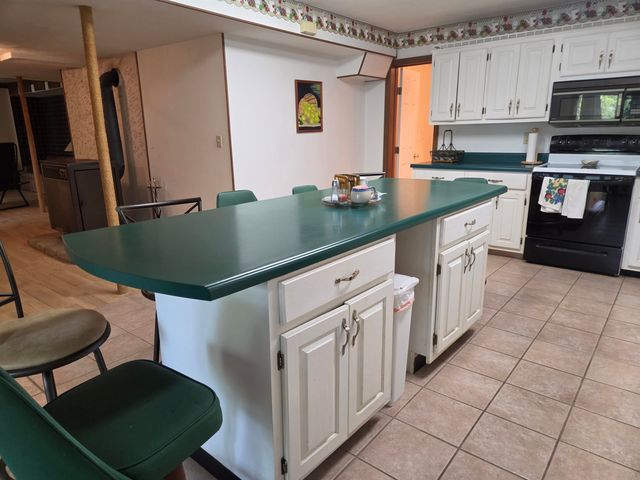 15 Pinal, Cherokee Village, AR 72529