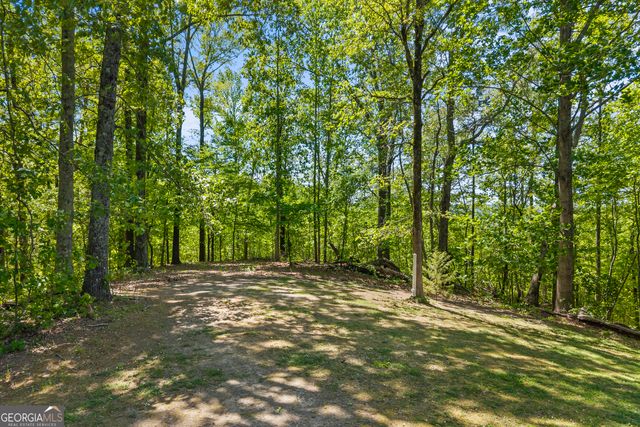 721 Scenic Drive, Toccoa, GA 30577