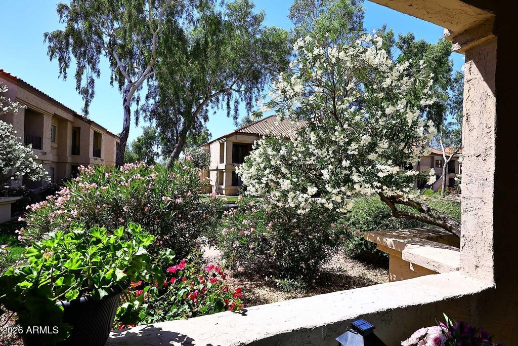 9708 E VIA LINDA -- 1333, Scottsdale, AZ 85258 — photo 5