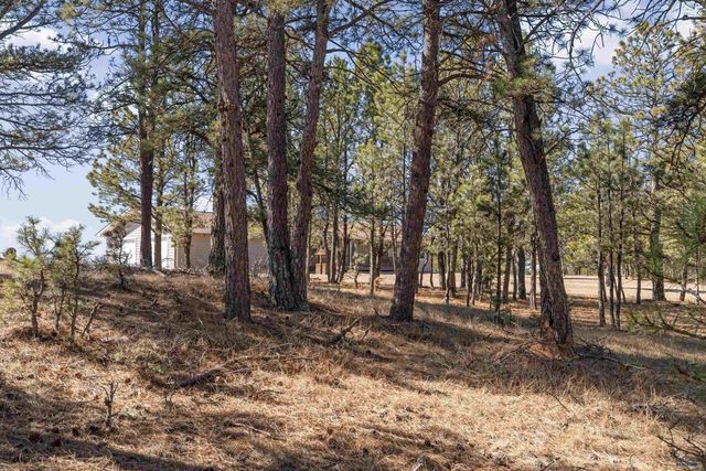 11981 MOUNTAIN LION LN, Hot Springs, SD 57747