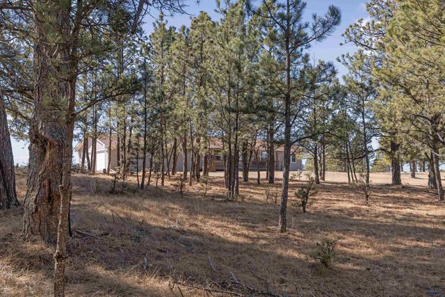 11981 MOUNTAIN LION LN, Hot Springs, SD 57747