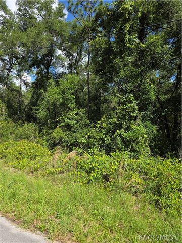 3669 E Baxley Place, Inverness, FL 34453