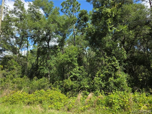 3669 E Baxley Place, Inverness, FL 34453