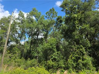 3669 E Baxley Place, Inverness, FL 34453