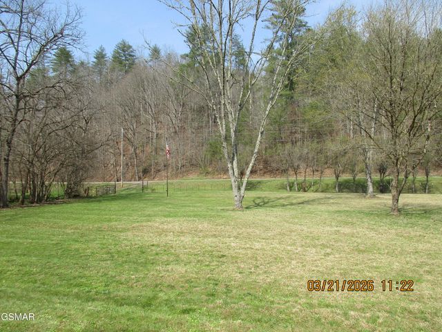 4902 Bogard Road, Cosby, TN 37722