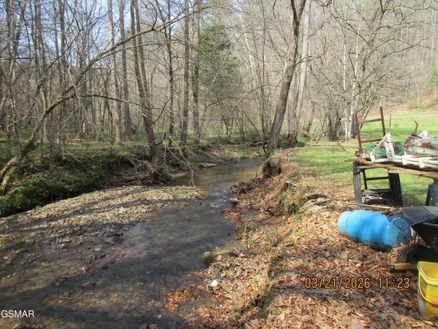 4902 Bogard Road, Cosby, TN 37722