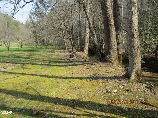 4902 Bogard Road, Cosby, TN 37722