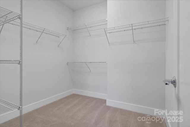 12147 Brooklyn Avenue, Charlotte, NC 28204