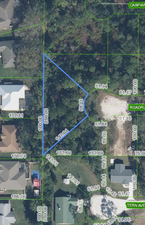 350 Road Runner Avenue, Sebring, FL 33870