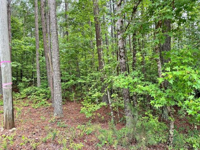 131 Ext Johnson Road, Locust Grove, GA 30248