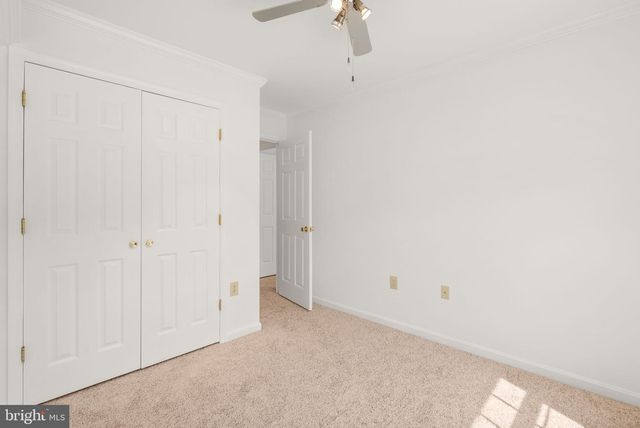 2419 PIMPERNEL DR, Waldorf, MD 20603