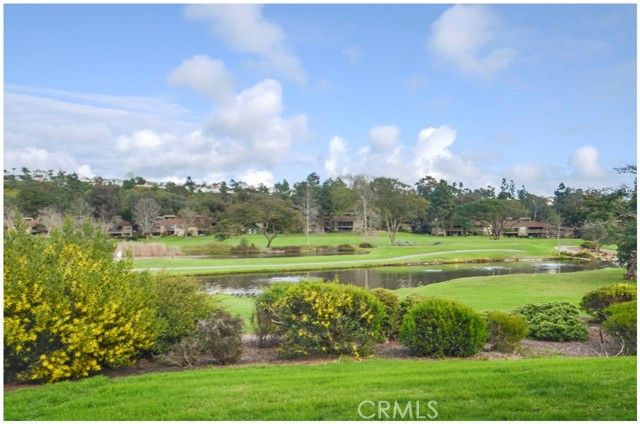 31402 W Nine, Laguna Niguel, CA 92677