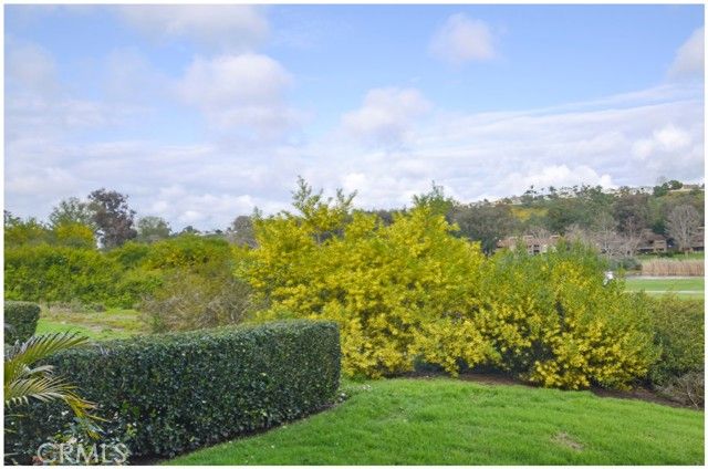 31402 W Nine, Laguna Niguel, CA 92677