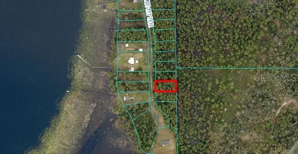 NE 117TH TERRACE, Fort Mc Coy, FL 32134