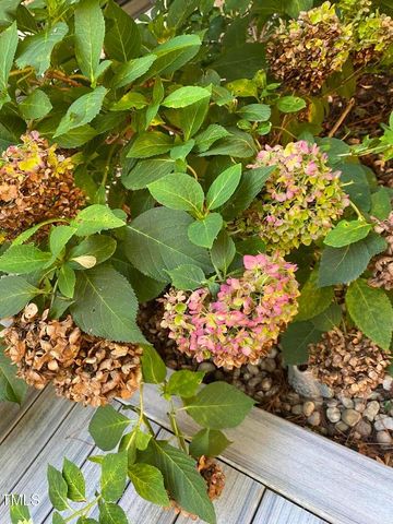 8019 Satillo Lane, Raleigh, NC 27616