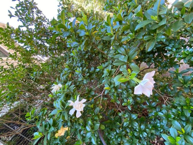 8019 Satillo Lane, Raleigh, NC 27616