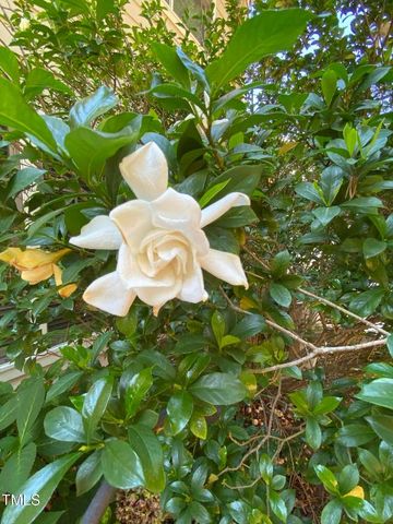 8019 Satillo Lane, Raleigh, NC 27616