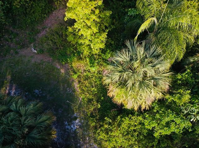 8895 N Bates Road, Palm Beach Gardens, FL 33418