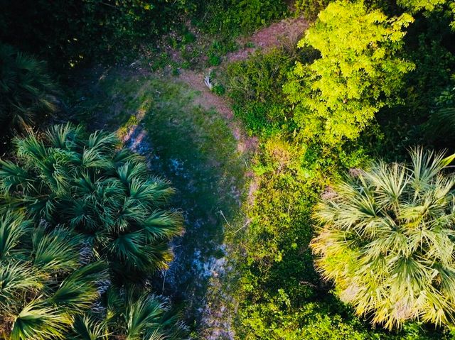 8895 N Bates Road, Palm Beach Gardens, FL 33418