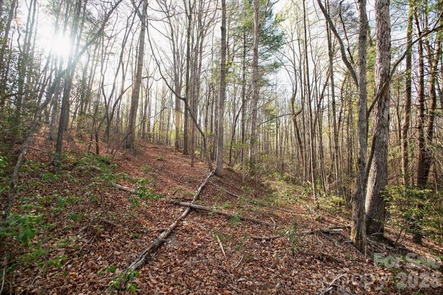 Lot 62 Dirksen Avenue, Nebo, NC 28655
