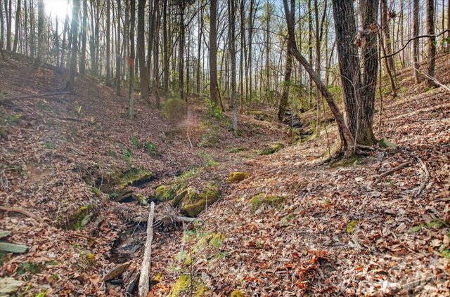 Lot 62 Dirksen Avenue, Nebo, NC 28655
