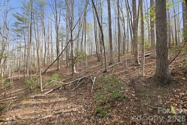 Lot 62 Dirksen Avenue, Nebo, NC 28655