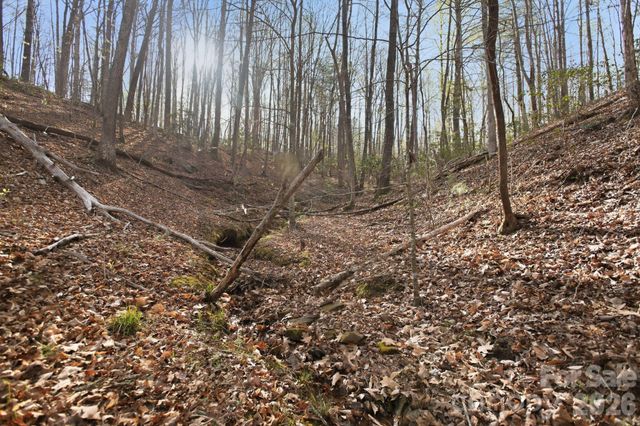 Lot 62 Dirksen Avenue, Nebo, NC 28655
