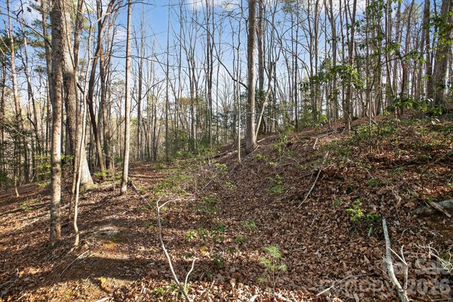 Lot 62 Dirksen Avenue, Nebo, NC 28655