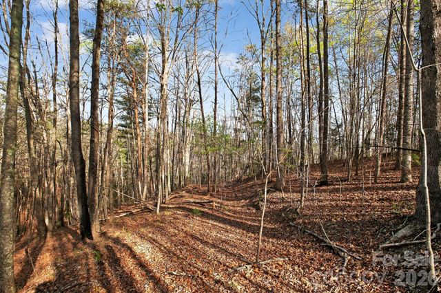 Lot 62 Dirksen Avenue, Nebo, NC 28655