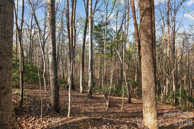 Lot 62 Dirksen Avenue, Nebo, NC 28655