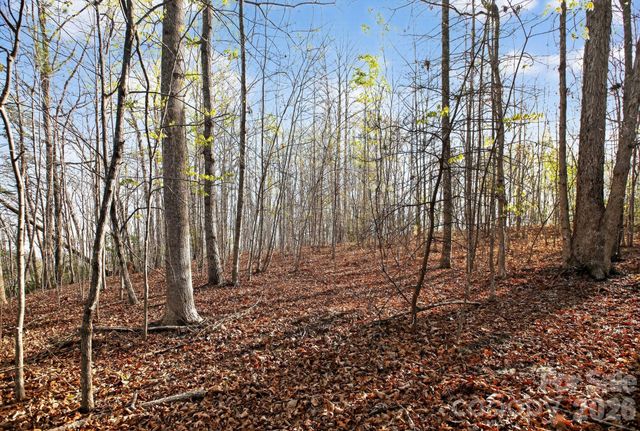 Lot 62 Dirksen Avenue, Nebo, NC 28655