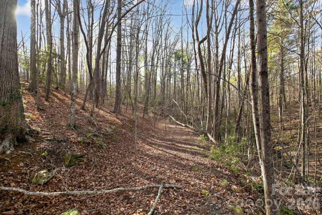 Lot 62 Dirksen Avenue, Nebo, NC 28655