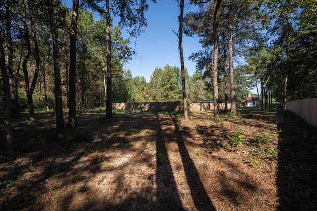 7511 Millies Run Road, Montgomery, TX 77316